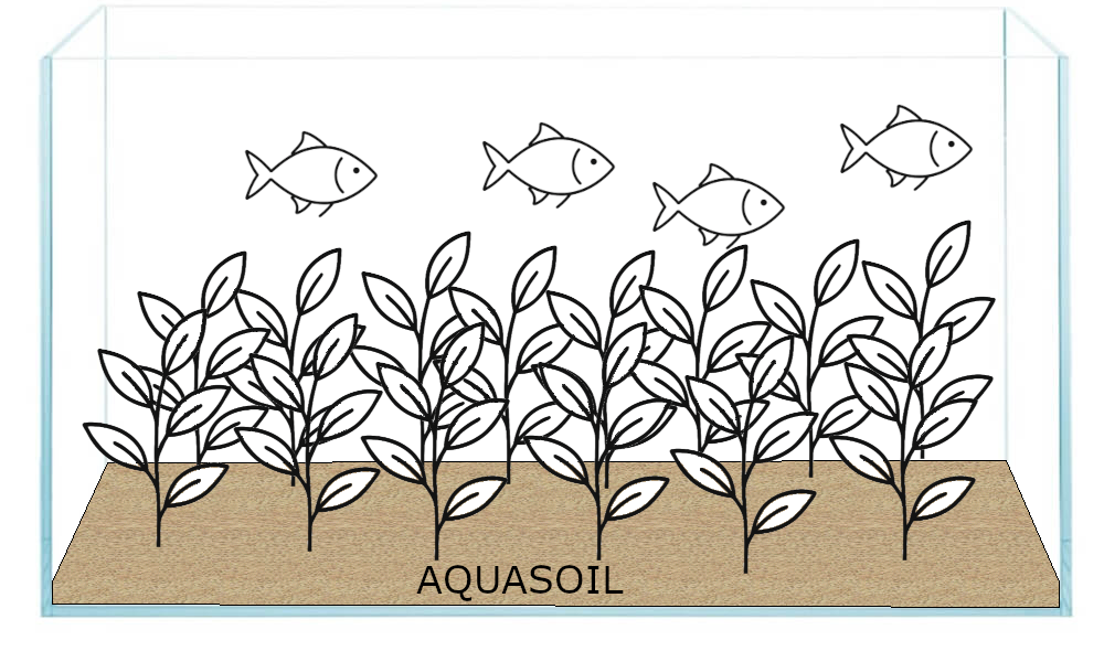 Acvarii cu Aquasoil